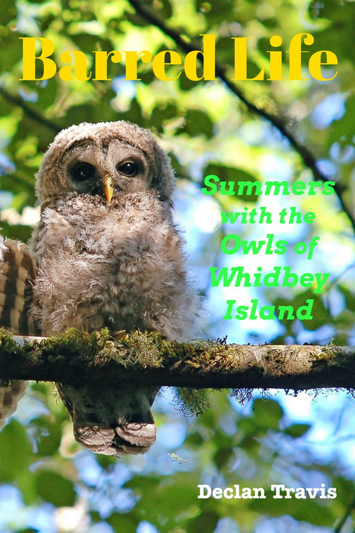 Barred-Life-Summers-with-the-Owls-of-Whidbey-Island-cover-image